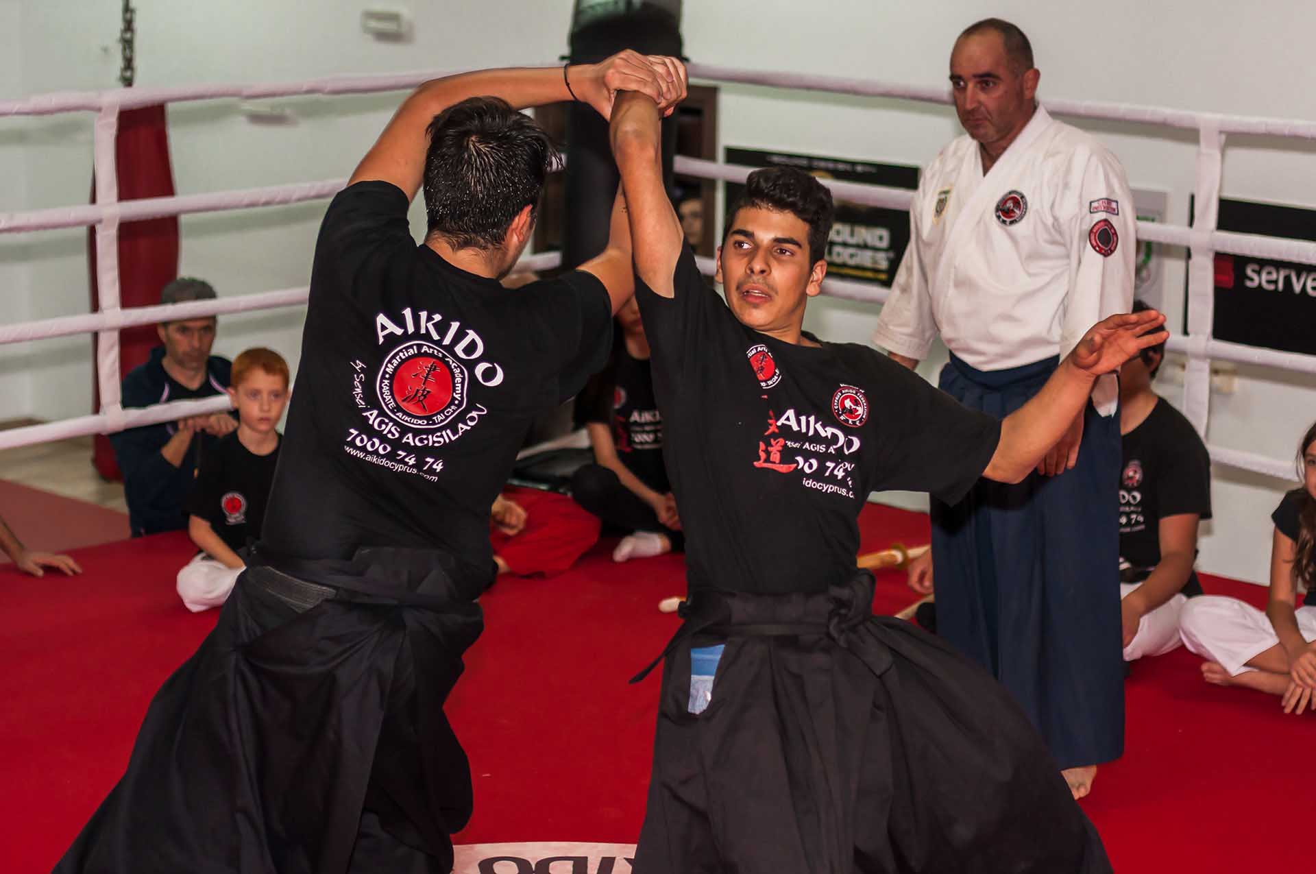Aikido Gathering in Cyprus